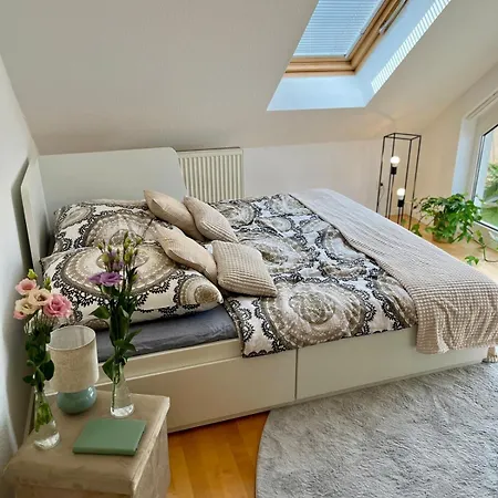 Moderne 3-zimmer-dg-wohnung, 2 Balkonen & Tiefgarage * Mayence